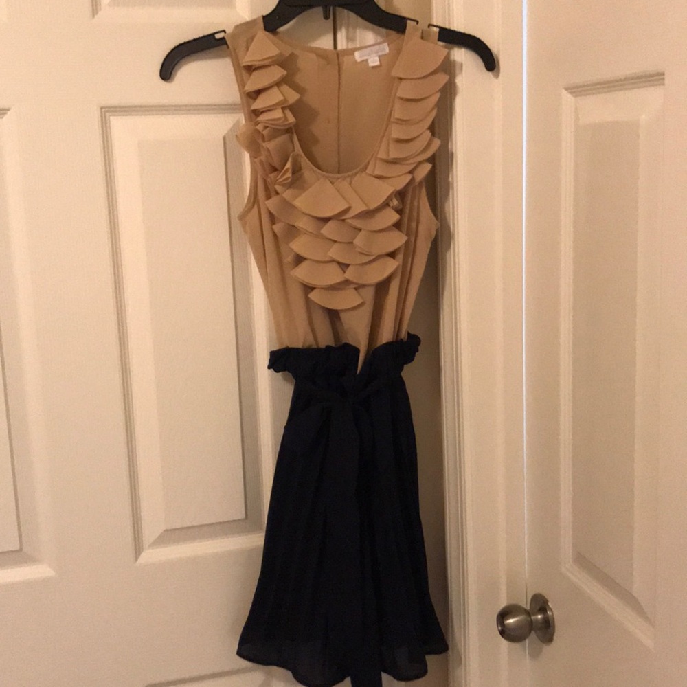 Navy Blue/Tan Dress